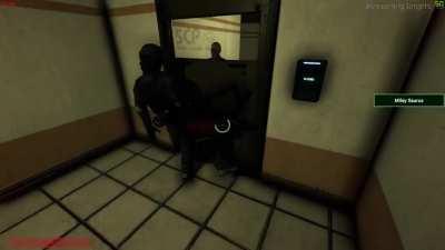 Perfectly cut screams are the best