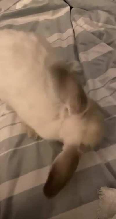 mindy flopping ‼️