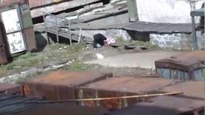 Crowd saves woman from a polar bear