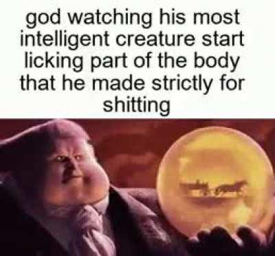 Is this... Dogs? Or some weird ass sex thing