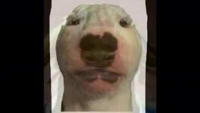 😭😕😳️😨☹️😰😤🙁😤🤔🙁😤🤭🥺🤭😤😩😤😨🥺😤😩😨😭🤤🧑🏻🧑🏻‍🦲🧑🏻‍🦲🧑🏻‍🦲🤘🤟🤟🤘🤟🤘🤟🤘🤘🤘👌🤟🤟🤘🤘🤘👌👌👇🦾walter🥰😛😋😋😋😛😋