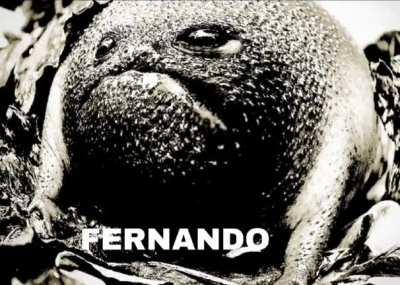 By u/Ninjaocult2 on r/huestation