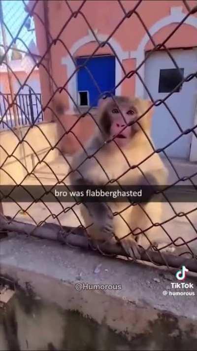 Absolutely bewildered