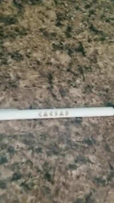 Funny jojo reference