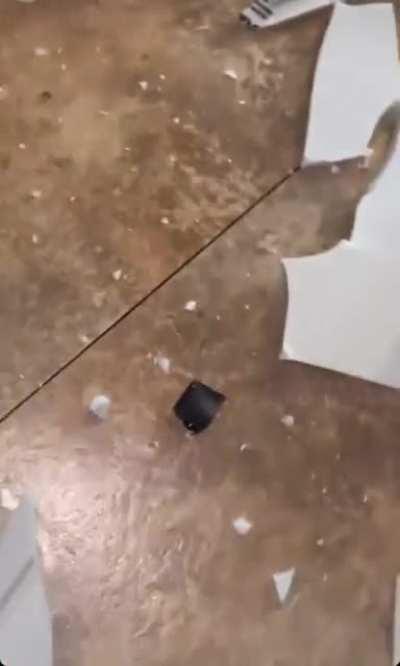 Lady destroys her BF's entire apartment.