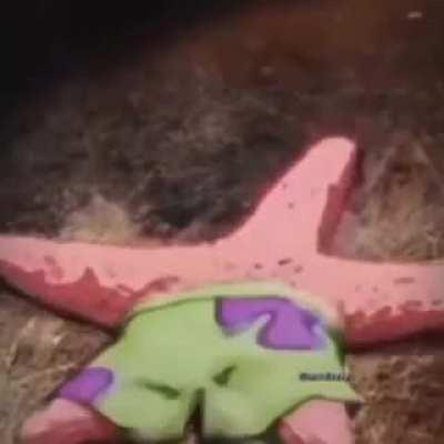 aw hell na Mr Kraps and squwadwod and pat drick try arbys