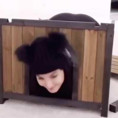 Ready for doggystyle