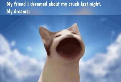 Singing cat in the sky