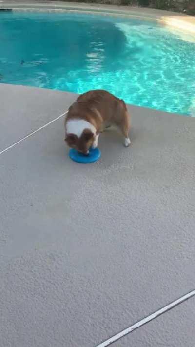 When you became too absorbed in your work...