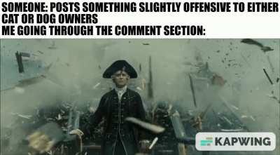 Guess I'll just focus on the animal pics