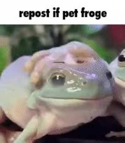 I don’t remember how I got here but I would like to ask you all how you are doing this fine Thursday