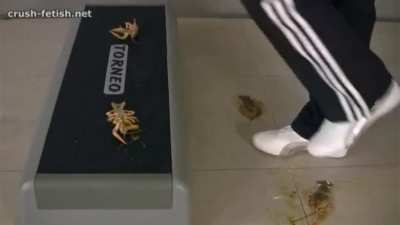 Goddess Amelia 💜💜💜