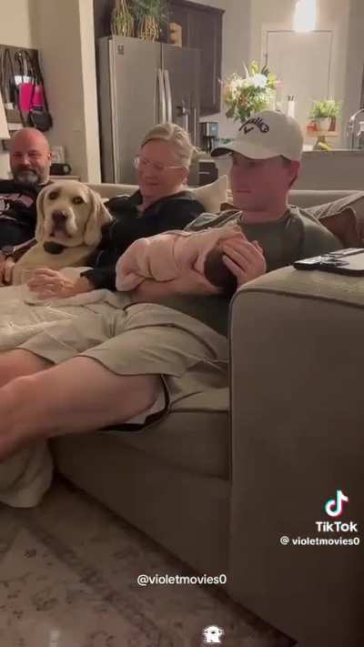 Silly dogs are the best!!