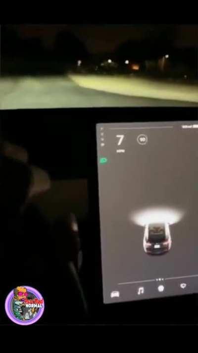 Car with LiDAR technology appears to make entities visible while driving through a cemetery.