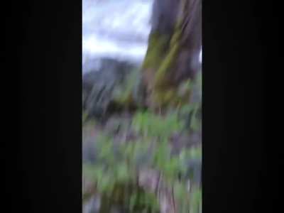 Six second roller coaster of emotion when a bear falls into a raging river