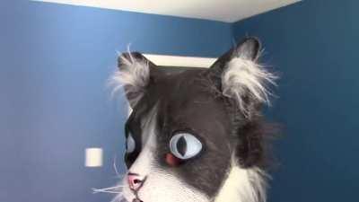 The Scariest Cat Of Them All