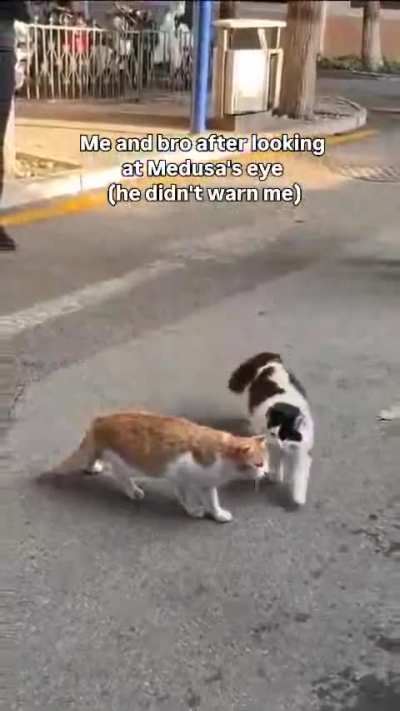 the car who can't be moved