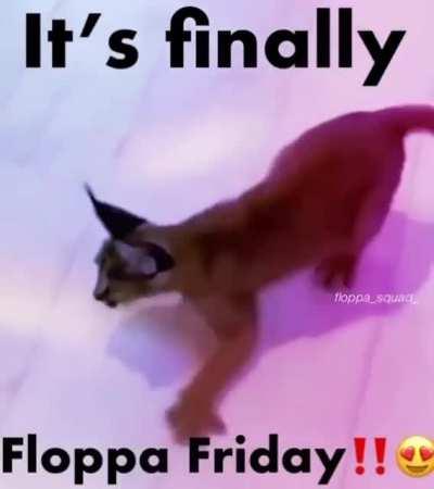 Floppa Friday!