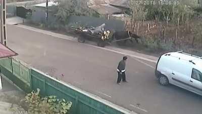 Every single thing in this is drunk