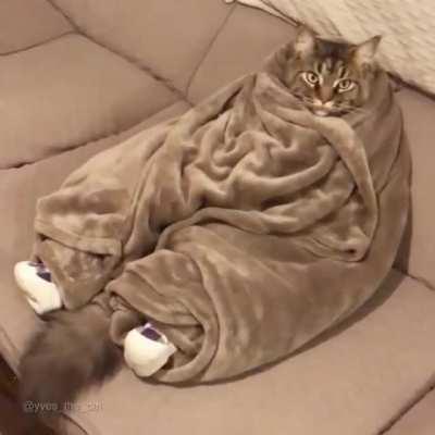 Would it kill you to turn on the heat for once, Janet?