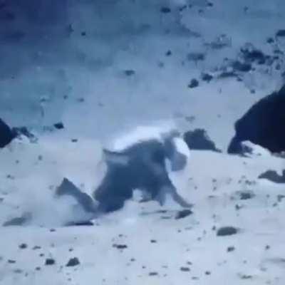 Неуклюжие астронавты