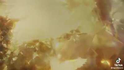 This animation can literally revive TOC