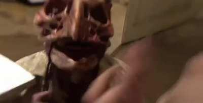 This is why you don&rsquo;t do drugs