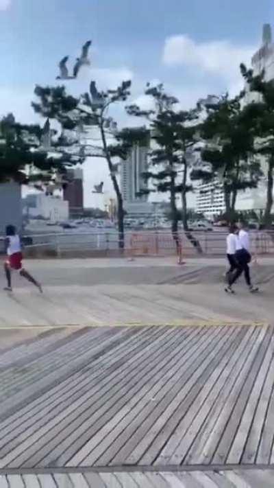 Just some birds chasing a man with a pizza