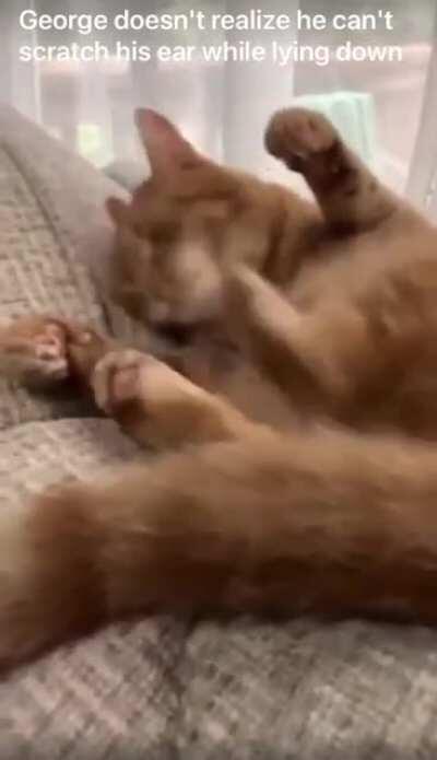 The application “BackLeg.exe” has been corrupted and should be reinstalled