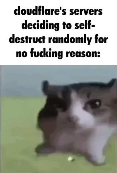 what the fuck is happening to the internet?