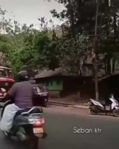 Idiot bus driver from India