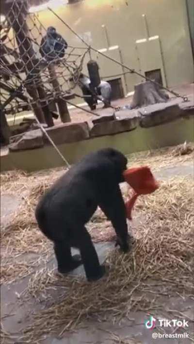 Situation of this Sub right now 👇👇👇