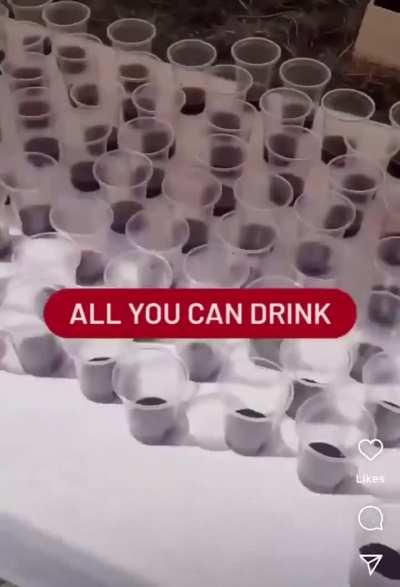 French are special, in a good way!