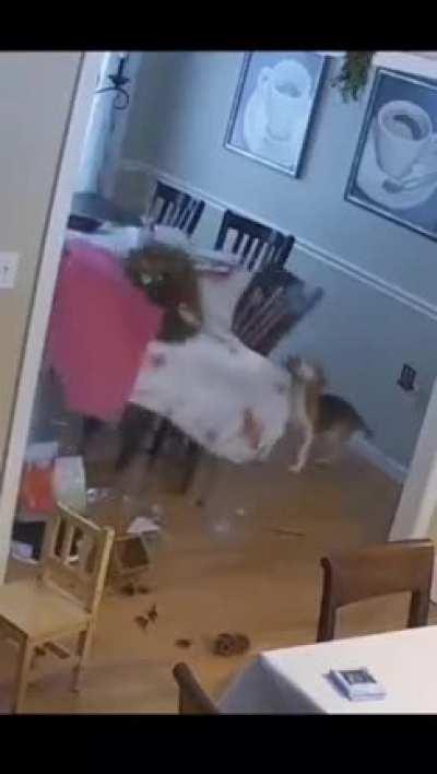 Fuck this holiday table