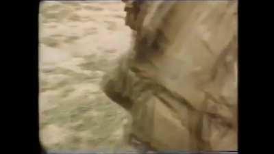 Your daily dose of Michael Parenti