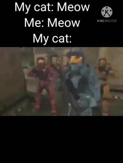 man, i dont like cats