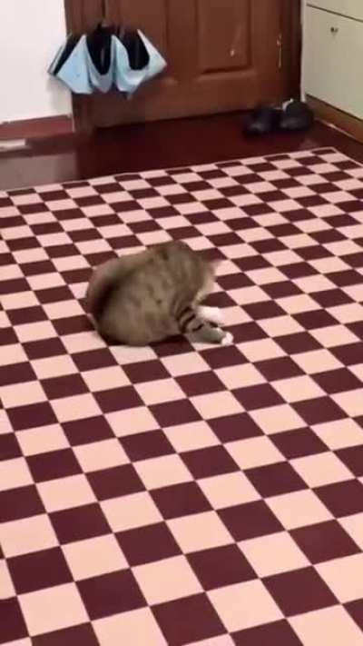 I have no idea what's going on here...