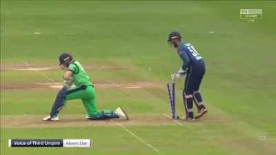 The spirit of cricket ain't spiriting