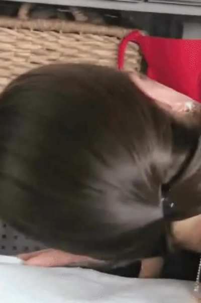 Imagine breeding Ashley Graham