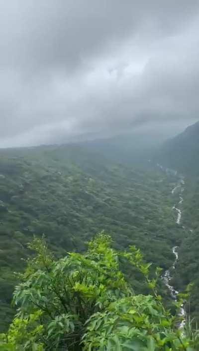 Mahabaleshwar beauty today