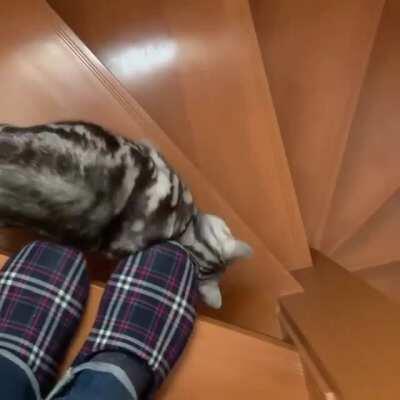 Miles to go !! Together forever 😍😍