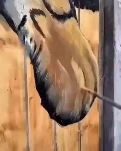 Drawing a tiger on wooden gate