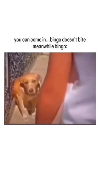 Come on in, I promise. He won't bite you.