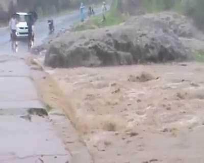 Should've taken them swimming lessons