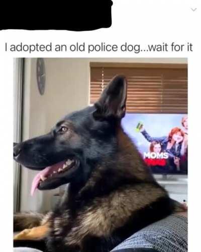 I thought you guys might appreciate this