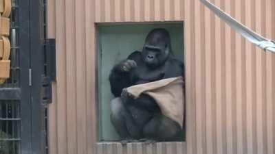 A man of culture and style