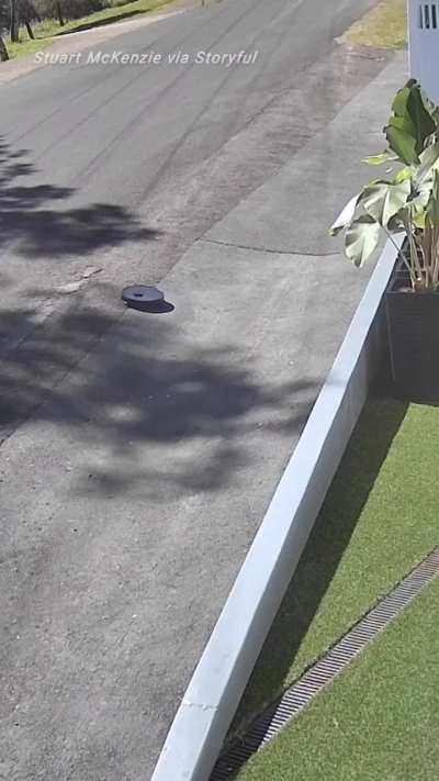 My Cleaner People Need Me