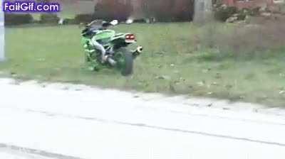 Stupidity has many faces