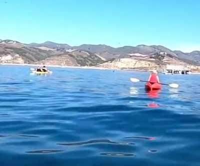 Go canoeing they said. It'll be fun they said.