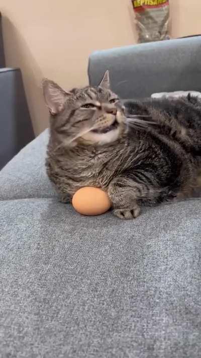 I think I've watched this an unhealthy number of times now